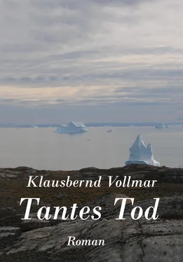 Klausbernd Vollmar Tantes Tod обложка книги