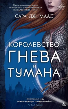 Сара Маас Королевство гнева и тумана обложка книги