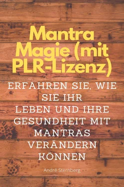 André Sternberg Mantra Magie (mit PLR-Lizenz) обложка книги