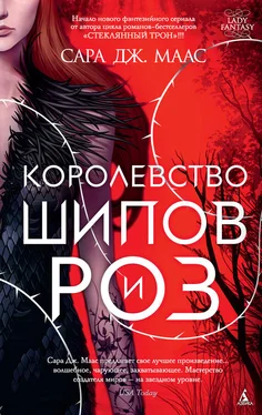 Сара Маас Королевство шипов и роз обложка книги