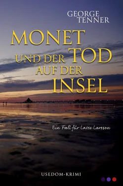 George Tenner Monet und der Tod auf der Insel обложка книги