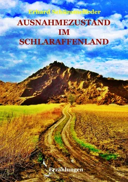 Erhard Schümmelfeder AUSNAHMEZUSTAND IM SCHLARAFFENLAND обложка книги