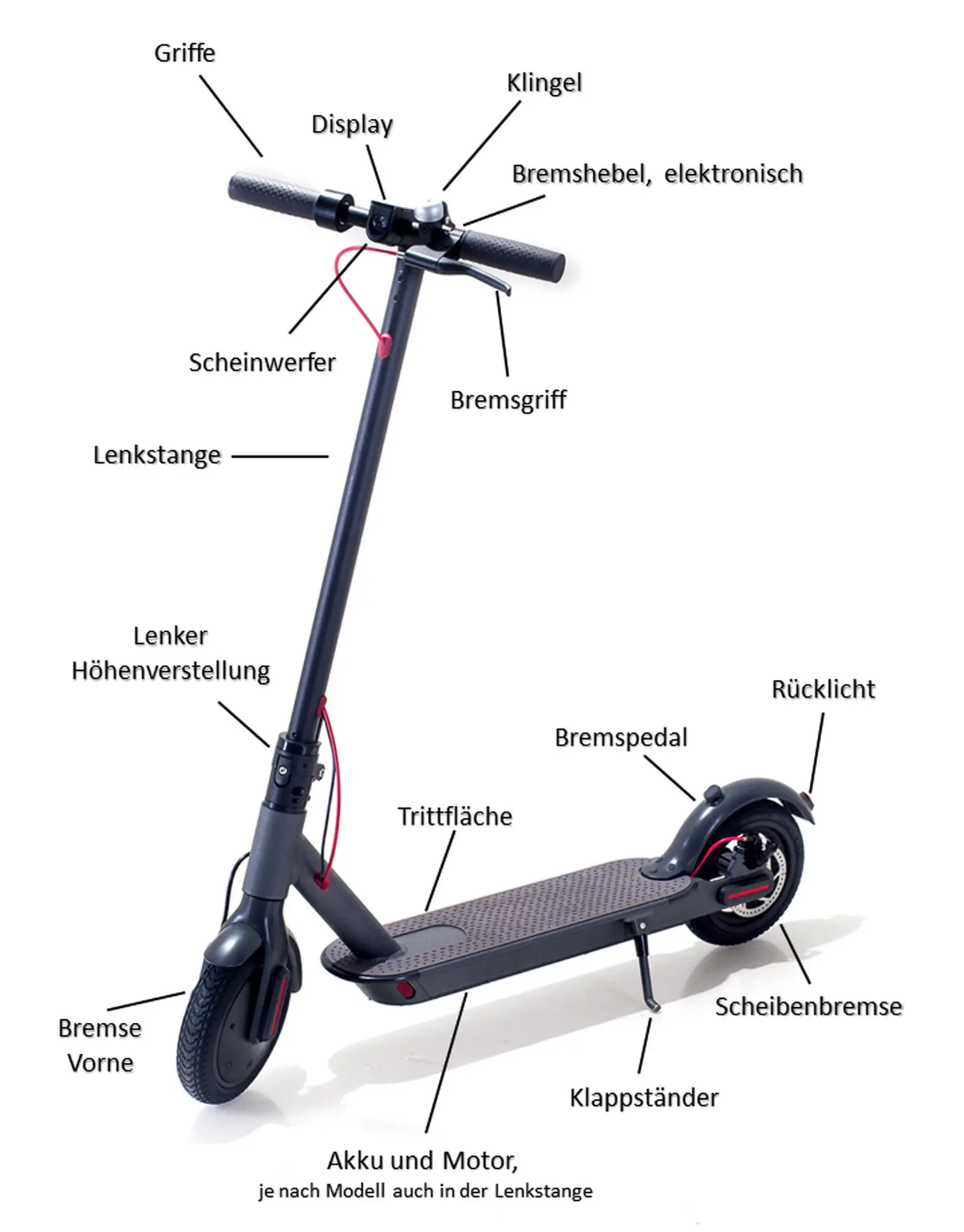 Die technische Ausstattung kann von Scooter zu Scooter abweichen Für den - фото 1