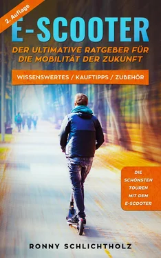 Ronny Schlichtholz E-Scooter – Der ultimative Ratgeber für die Mobilität der Zukunft обложка книги