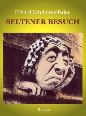 Erhard Schümmelfeder Seltener Besuch обложка книги