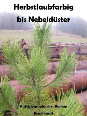 Michael Andreas Engelhardt Herbstlaubfarbig bis Nebeldüster обложка книги