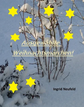 Ingrid Neufeld Ausgewählte Weihnachtsmärchen обложка книги