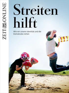 ZEIT ONLINE Streiten hilft обложка книги