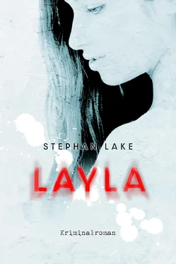 Stephan Lake Layla обложка книги