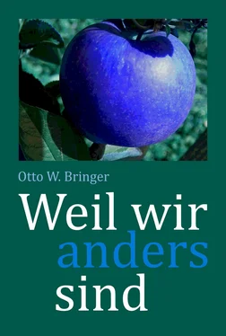 Otto W Bringer Weil wir anders sind обложка книги