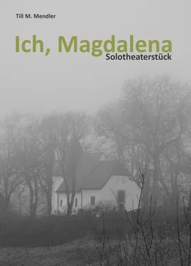 Till M. Mendler Ich, Magdalena обложка книги