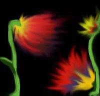 Ganz ohne Fotoapparat kannst du schöne Feuerblumen produzieren Das geht mit - фото 160