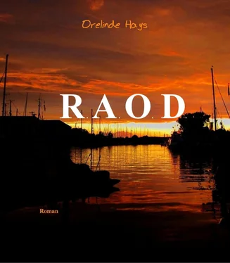 Orelinde Hays R.A.O.D. обложка книги