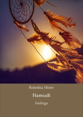 Rebekka Meier Hamudi обложка книги