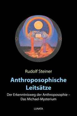 Rudolf Steiner Anthroposophische Leitsätze обложка книги