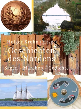 Holger Krohn Geschichten des Nordens обложка книги