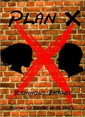 Reinhold Ziegler Plan X обложка книги
