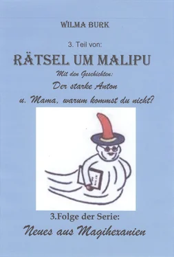 Wilma Burk Rätsel um Malipu 3. Teil обложка книги