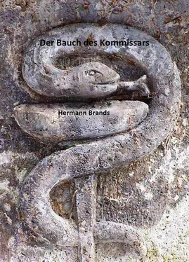Hermann Brands Der Bauch des Kommissars обложка книги