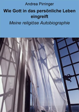 Andrea Pirringer Wie Gott in das persönliche Leben eingreift обложка книги