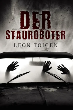 Leon Toigen Der Stauroboter обложка книги