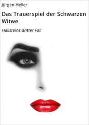 Jürgen Heller - Das Trauerspiel der Schwarzen Witwe