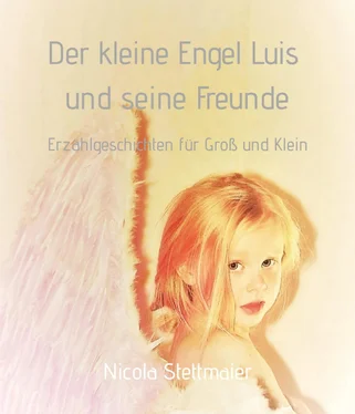 Nicola Stettmaier Der kleine Engel Luis und seine Freunde обложка книги
