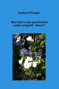 Andrea Pirringer Wie Gott in das persönliche Leben eingreift - Band 7 обложка книги