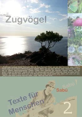 Sabú Loewe Zugvögel обложка книги