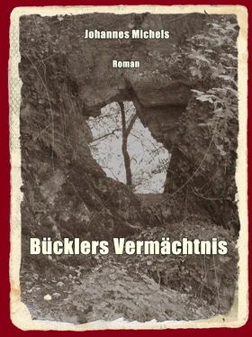 Johannes Michels Bücklers Vermächtnis обложка книги