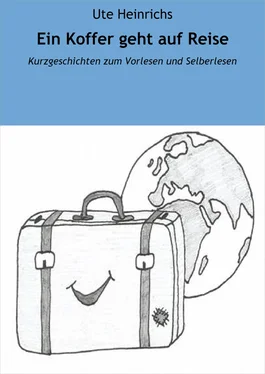 Ute Heinrichs Ein Koffer geht auf Reise обложка книги