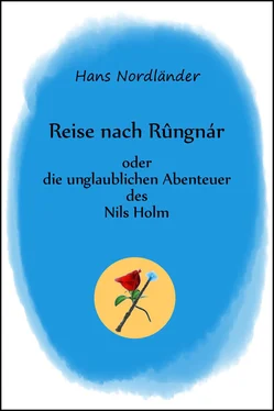 Hans Nordländer Reise nach Rûngnár обложка книги