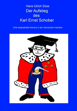 Hans Ulrich Süss Der Aufstieg des Karl Ernst Schober обложка книги