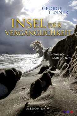 George Tenner Insel der Vergänglichkeit обложка книги