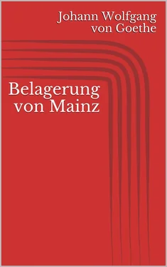 Johann Wolfgang von Goethe Belagerung von Mainz обложка книги
