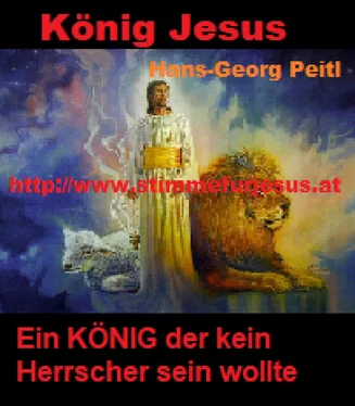 Hans-Georg Peitl König JESUS, ein KÖNIG der kein Herrscher sein wollte обложка книги