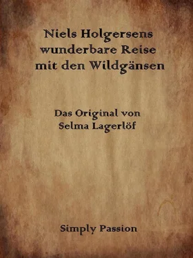 Simply Passion Nils Holgersens wunderbare Reise mit den Wildgänsen обложка книги
