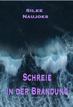 Silke Naujoks Schreie in der Brandung обложка книги