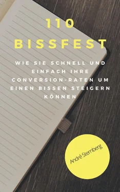 André Sternberg 110 Bissfest обложка книги