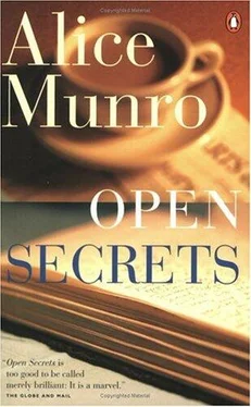 Alice Munro Open Secrets обложка книги