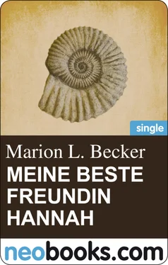 Marion L. Becker Meine beste Freundin Hannah обложка книги