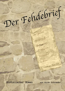 Guido Schroeder Der Fehdebrief обложка книги