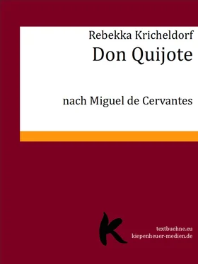 Rebekka Kricheldorf Don Quijote обложка книги