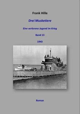 Frank Hille Drei Musketiere - Eine verlorene Jugend im Krieg, Band 13 обложка книги