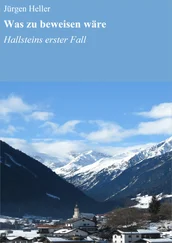 Jürgen Heller - Was zu beweisen wäre