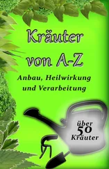 Florian Osterauer - Kräuter von A-Z