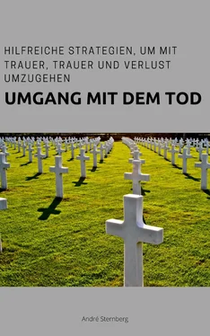 André Sternberg Umgang mit dem Tod обложка книги