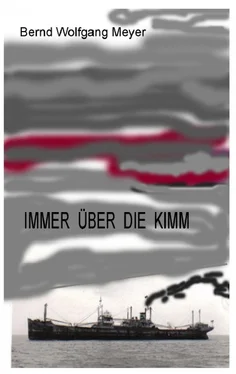 Bernd Wolfgang Meyer Immer über die Kimm обложка книги