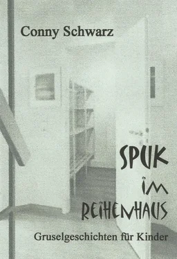 Conny Schwarz Spuk im Reihenhaus обложка книги