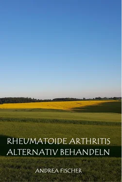 Andrea Fischer Rheumatoide Arthritis alternativ behandeln обложка книги